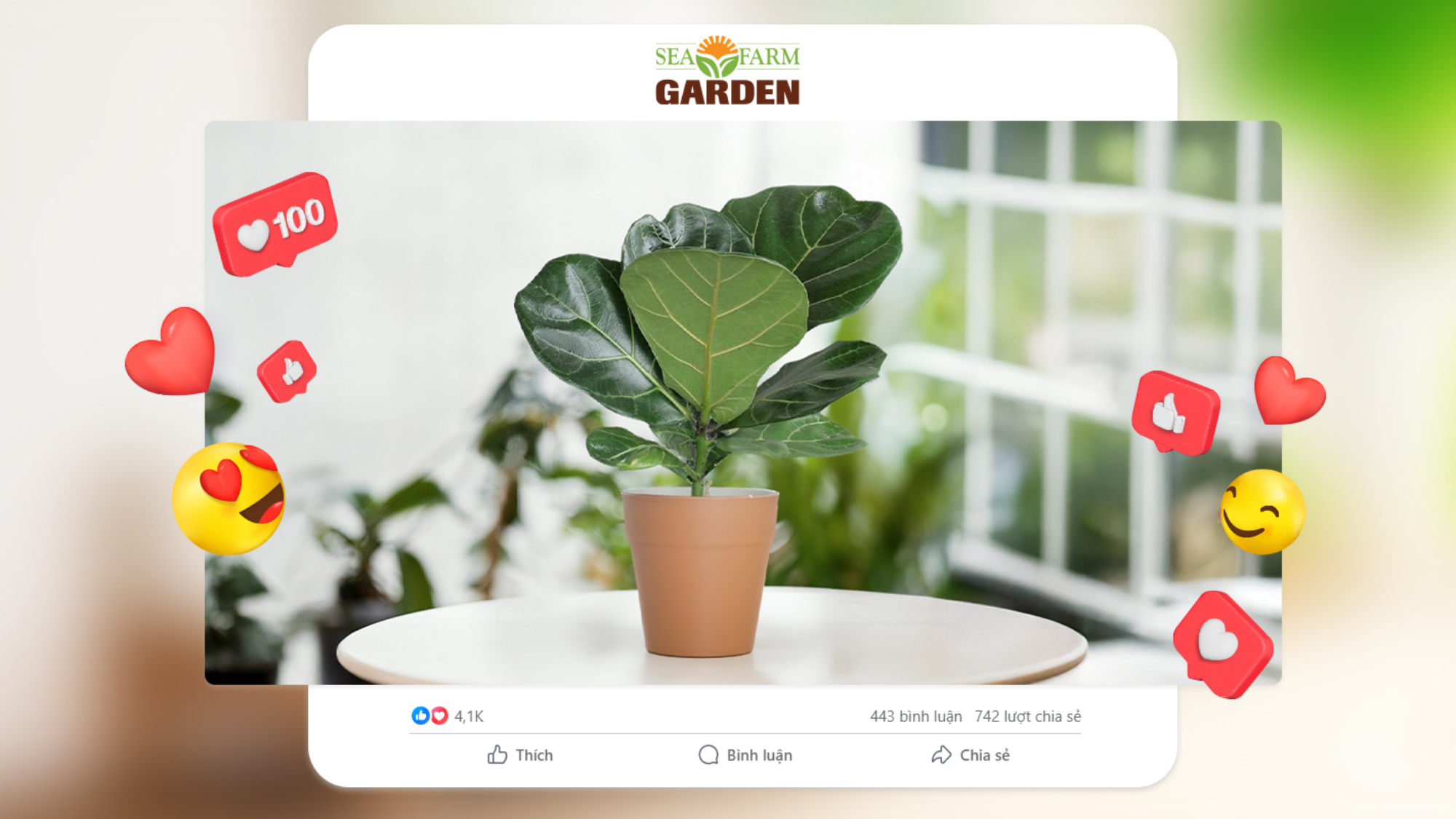 Người bận rộn vẫn có thể yêu cây