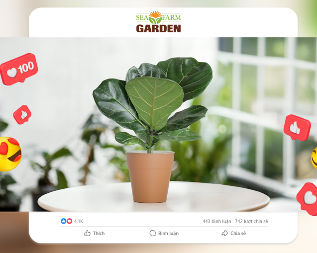 Người bận rộn vẫn có thể yêu cây